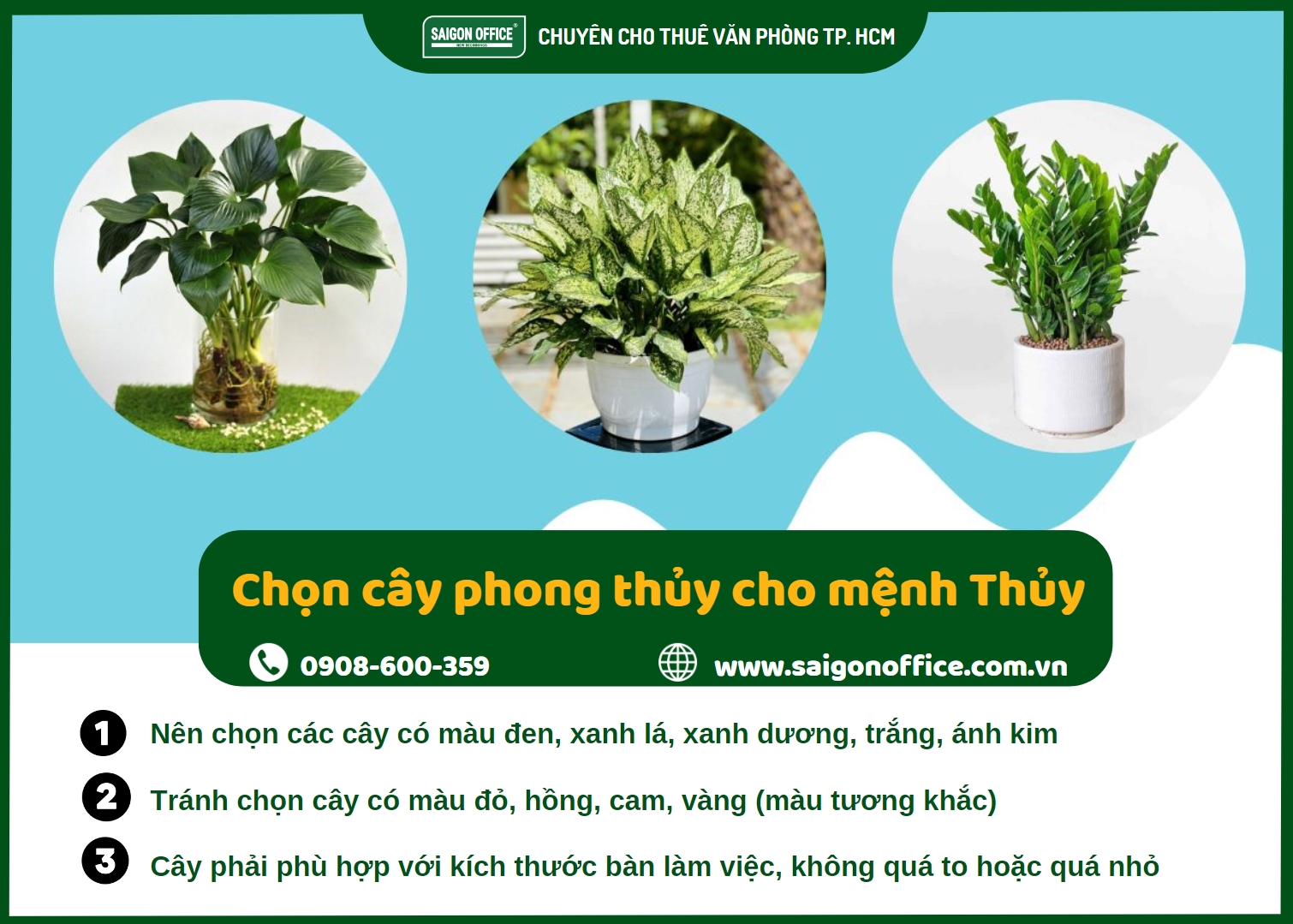 Cách chọn cây phong thủy để bàn thích hợp cho mệnh thủy