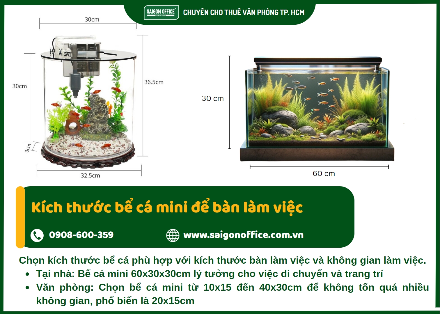 Cách chọn kích thước bể cá mini để bàn làm việc chuẩn