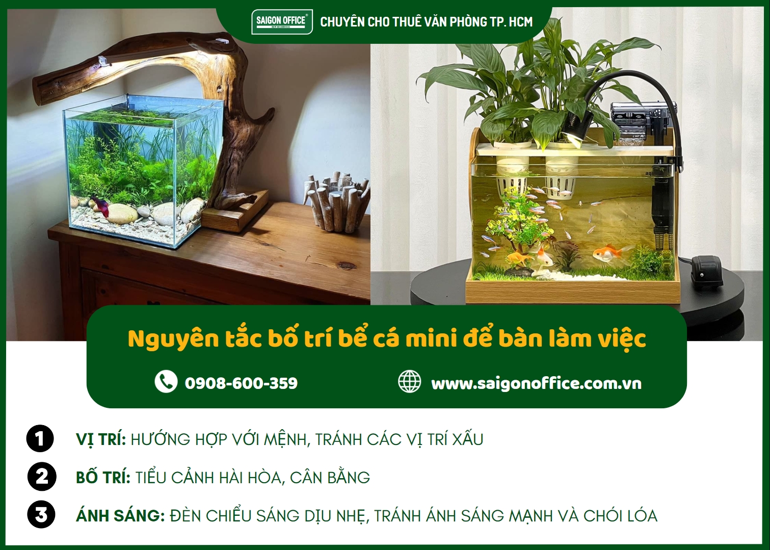 Cách trang trí bể cá mini đẹp