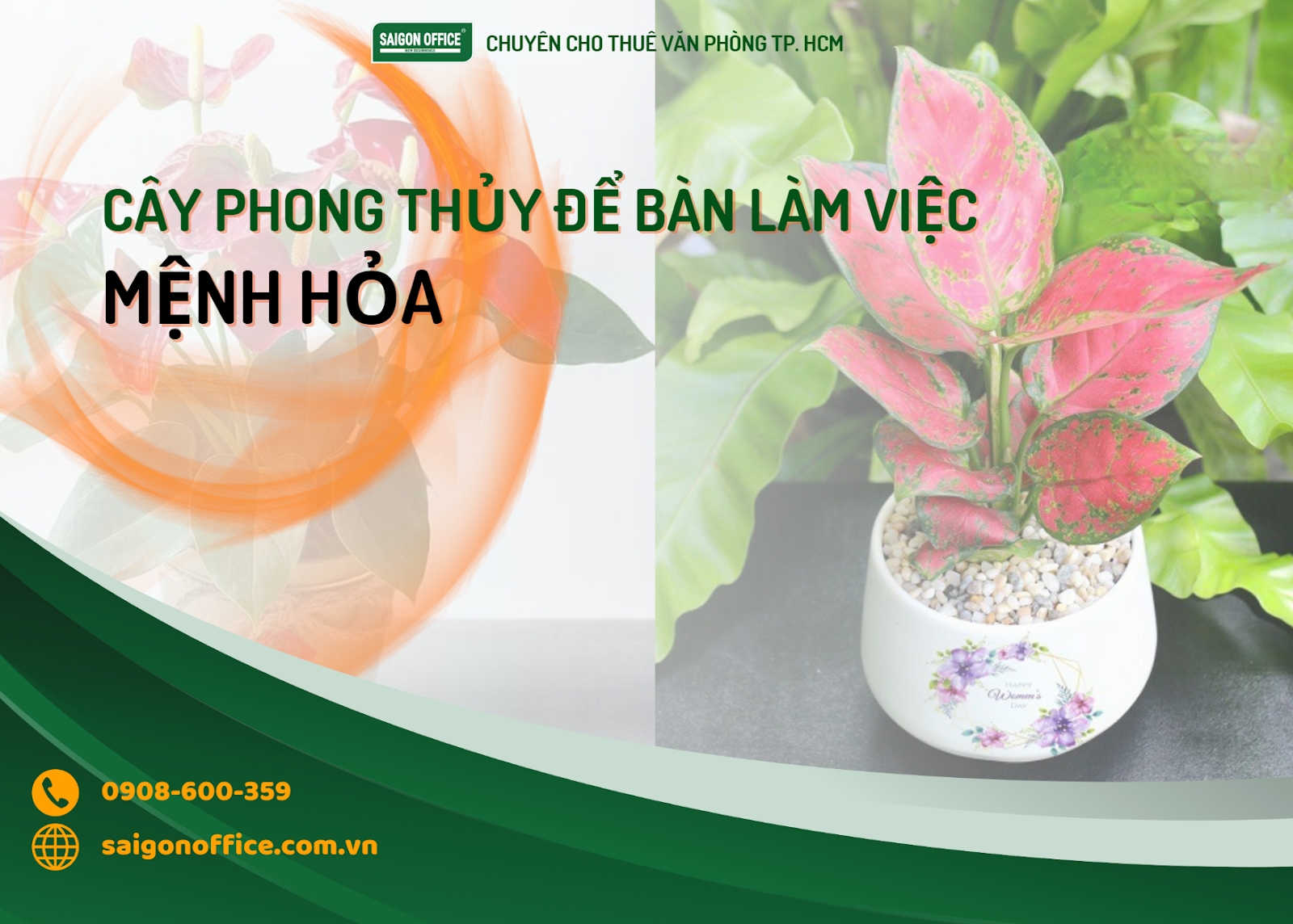 Cây để bàn làm việc hợp mệnh hỏa