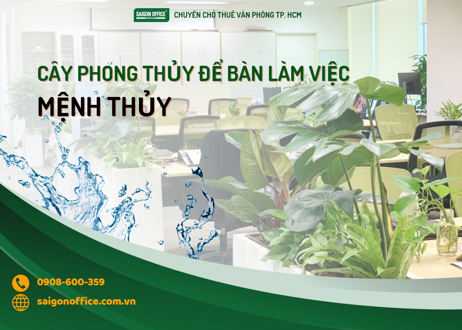 Cây phong thủy để bàn cho mệnh thủy