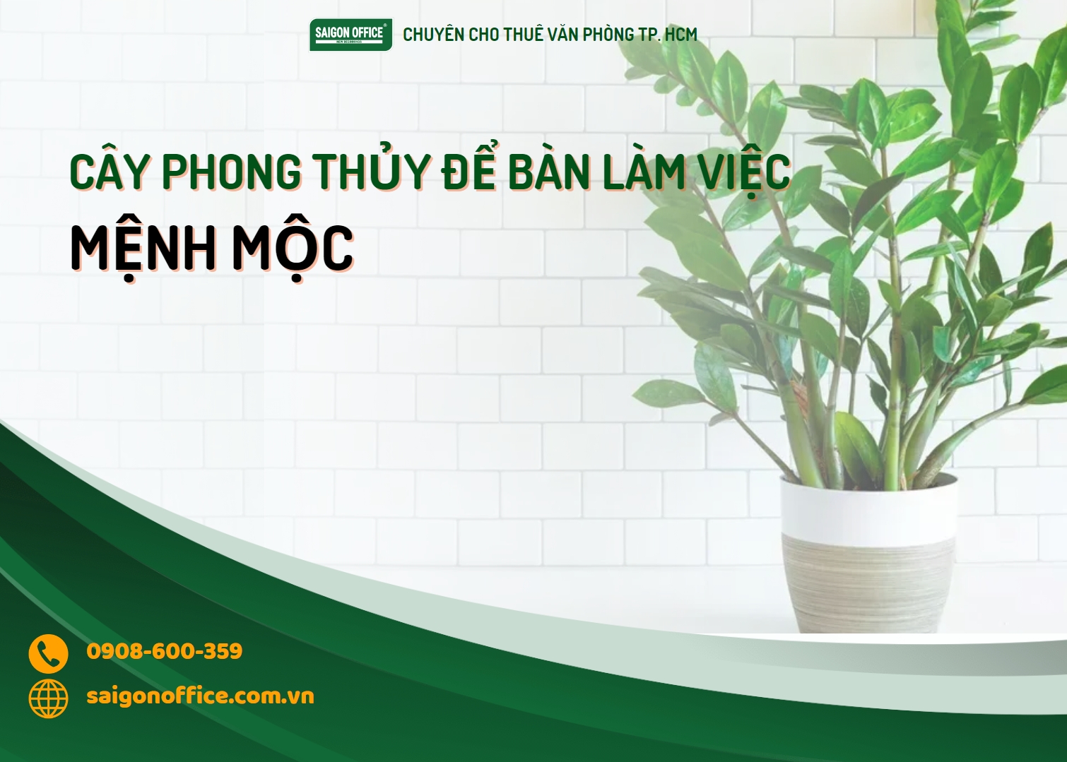 Cây phong thủy để bàn làm việc cho người mệnh Mộc