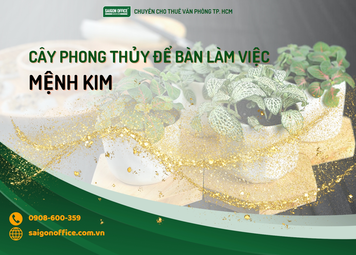 mệnh kim hợp cây gì để bàn làm việc