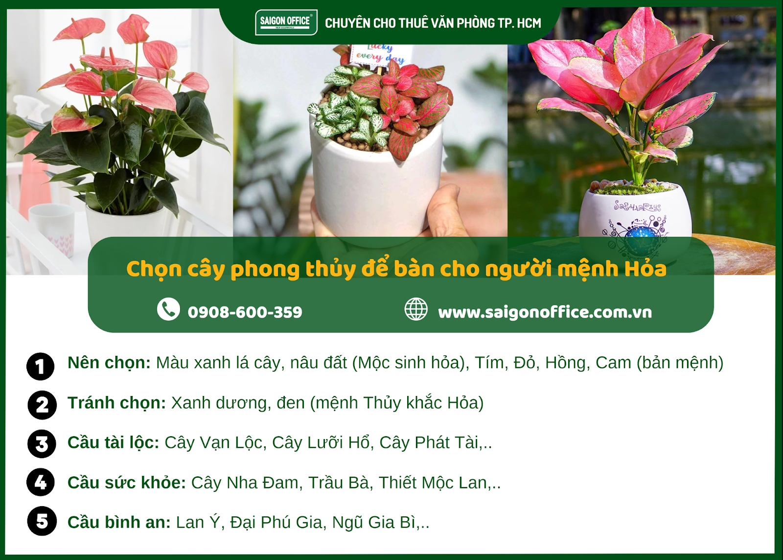 Nguyên tắc chọn cây để bàn làm việc cho người mệnh hỏa