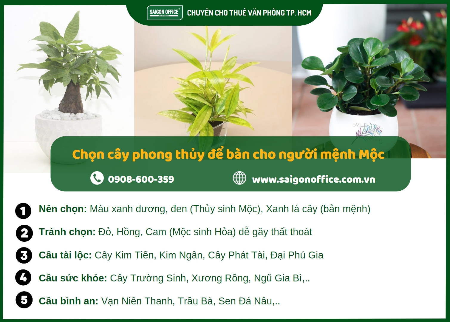 nguyên tắc chọn cây để bàn làm việc cho người mệnh Mộc