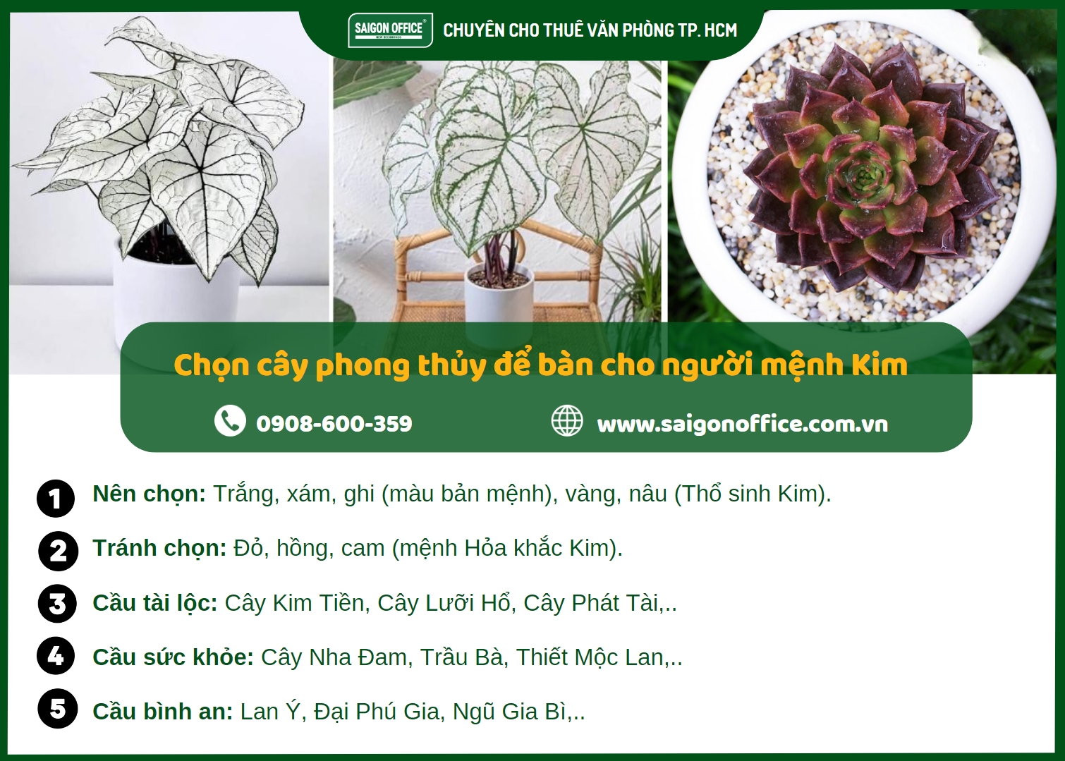 Nguyên tắc chọn cây để bàn làm việc hợp mệnh kim