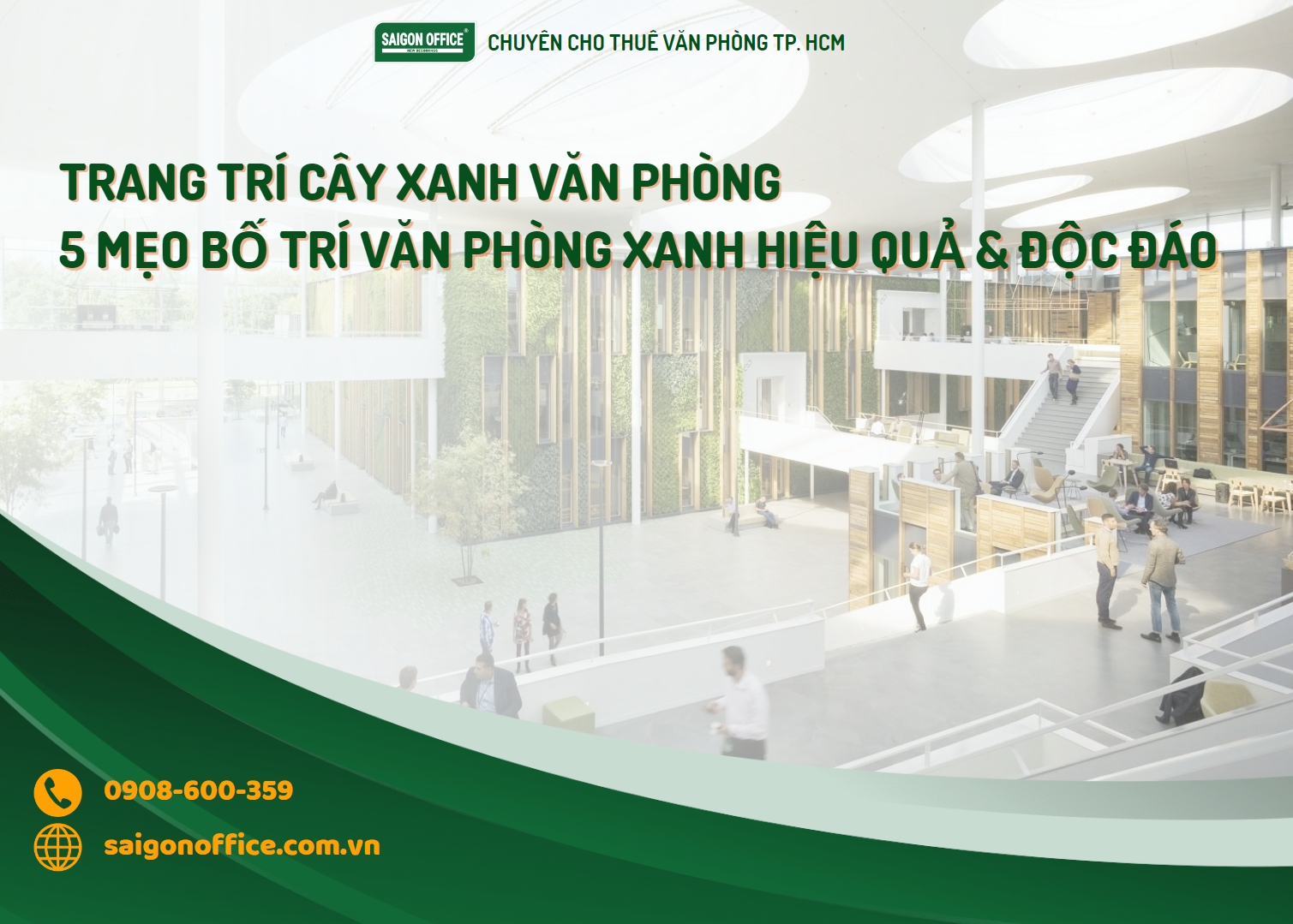 Trang trí cây xanh trong văn phòng