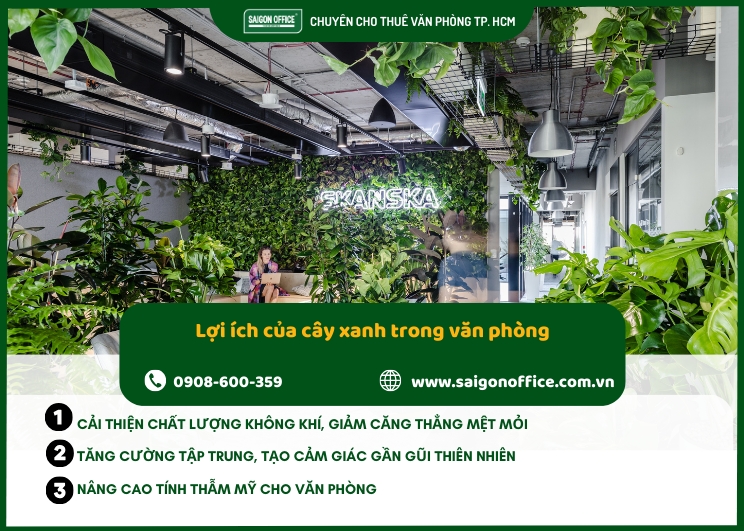 Vì sao nên bố trí cây xanh trong văn phòng