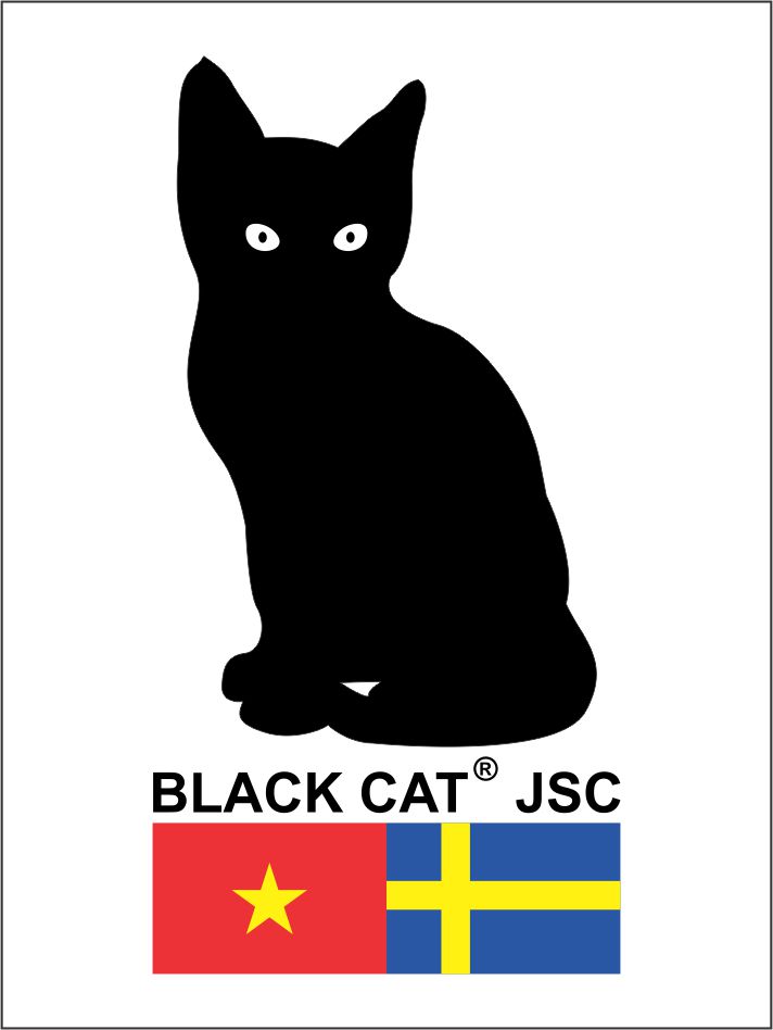 Black cat