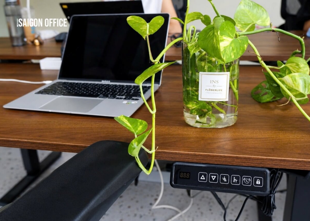 Saigon Coworking Signature